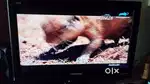 Panasonic tv 20 inch
