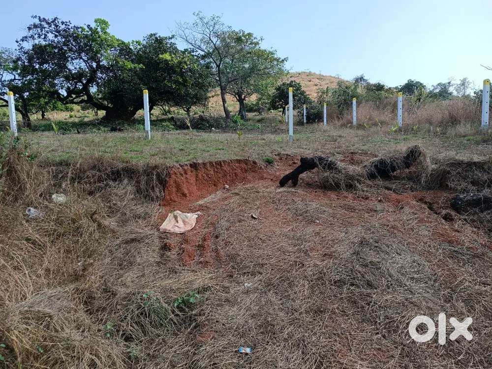Orchard zone property