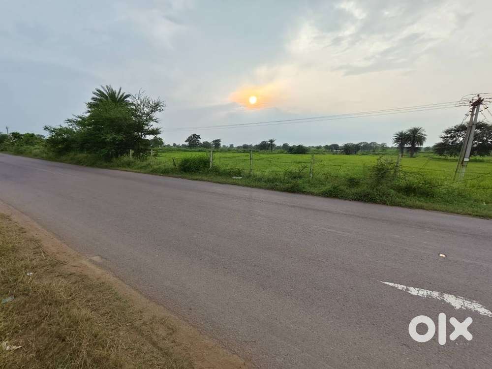 Tirupati Properties - Pahua Land