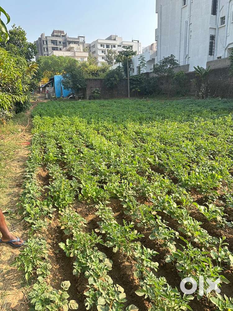 General plot Two side road facing plot with boundary done