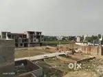 Build your own dream house.