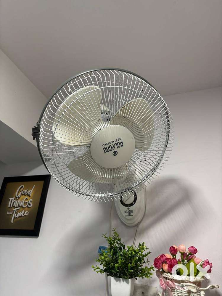 Polycab wall Fan (Total 8 Fan)