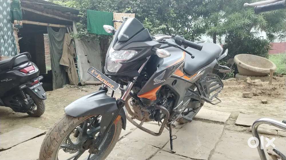 Hornet bike