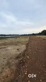 1000 rs per sqft Plot sizes available in best rate in koni