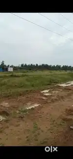 mahindra city echankadu village corner plot good invesment