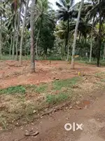 6.700 Cent Sub Main Road Housing Plot for Sale in Karavilai, Nagercoil