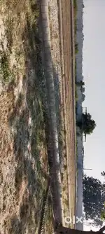 100 Gazz Plot