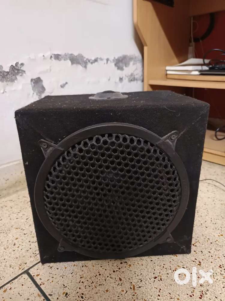 Speaker With Woofer