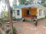 Pampady 8 cent sheet house.15 .lakh.