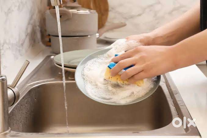 Required Night dish washing staff @ 4 star hotel