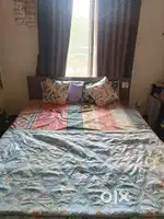 Queen size Wooden Bed Sleepwell Mattress  + 3 Gas Burner Only 4 M Used