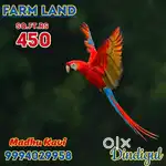 Mini Farm land sale - immediately Registration