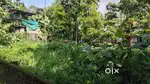 8cents of Residential Plot in Thiruvankulam/ Chottanikkara