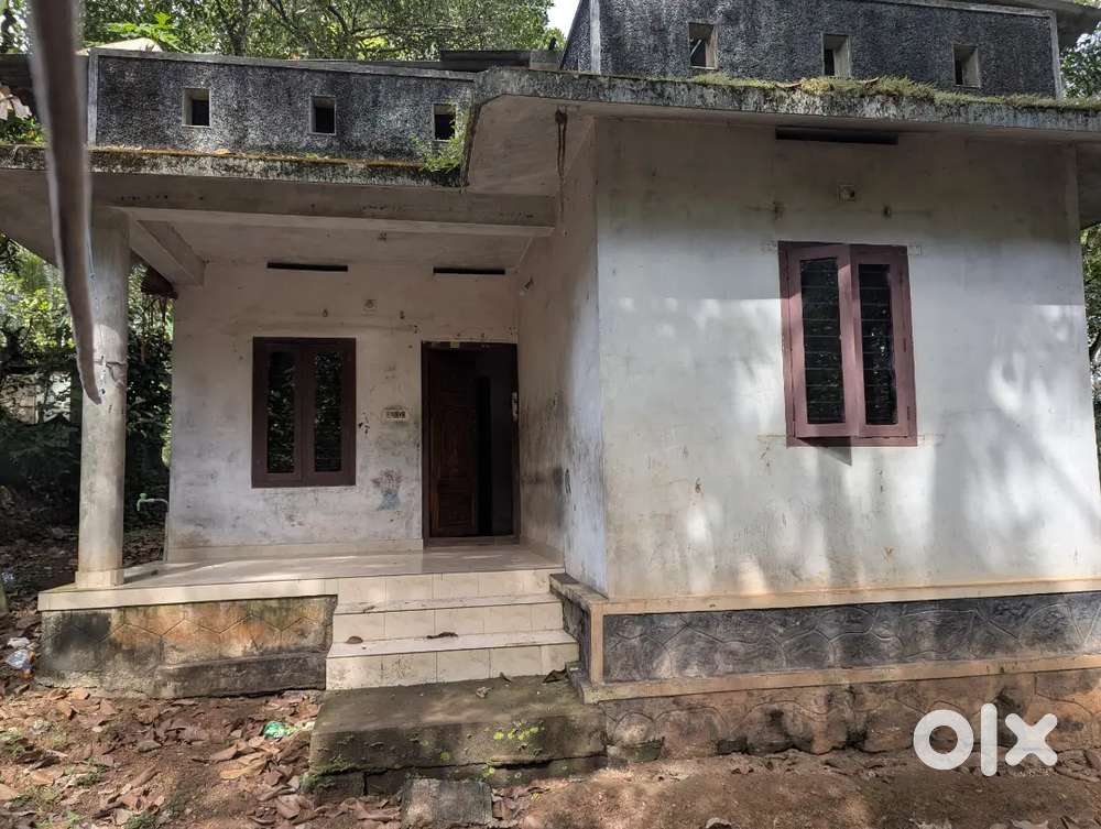 Bharanikavu house