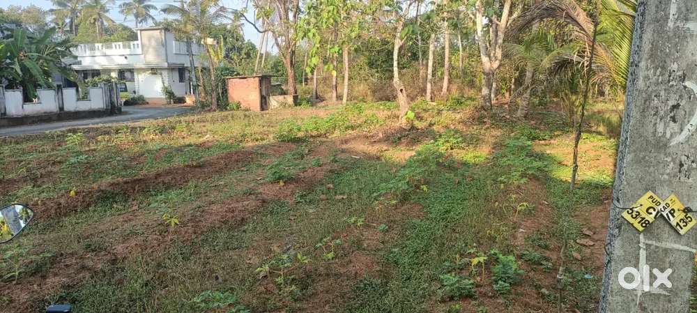 20cent plot sale in chengaloor