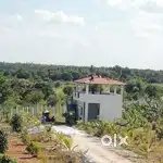AGRICULTURE LAND for sale at gouribidanur highway