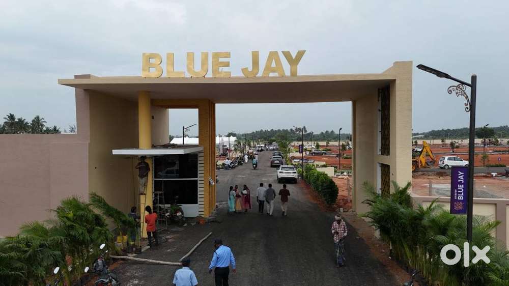 DTCP  LAND FOR SALE AT PAPPAMPATTI