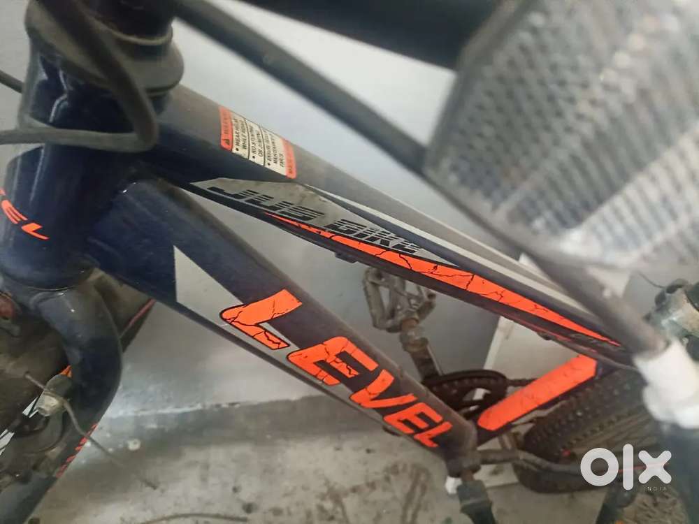 Level 22 inch bicycle for boys