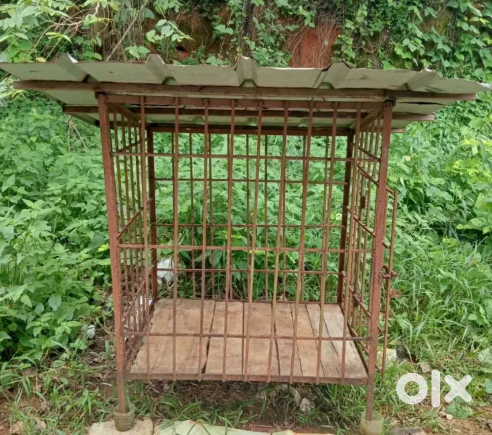 Cage for dog