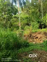 1.15 ac vacant land for sale at vakayar mlanthadom with road access.