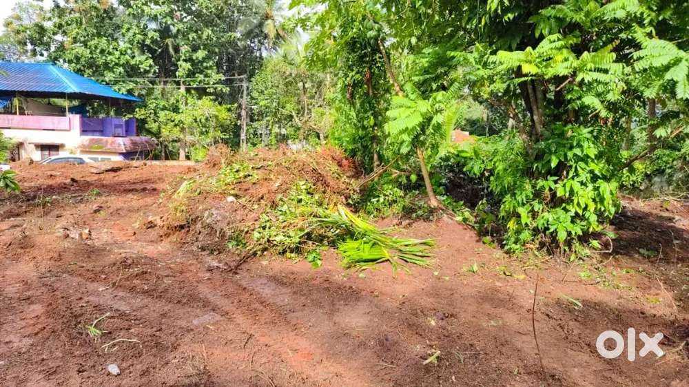 20 cent plot in nedumangad lorry site