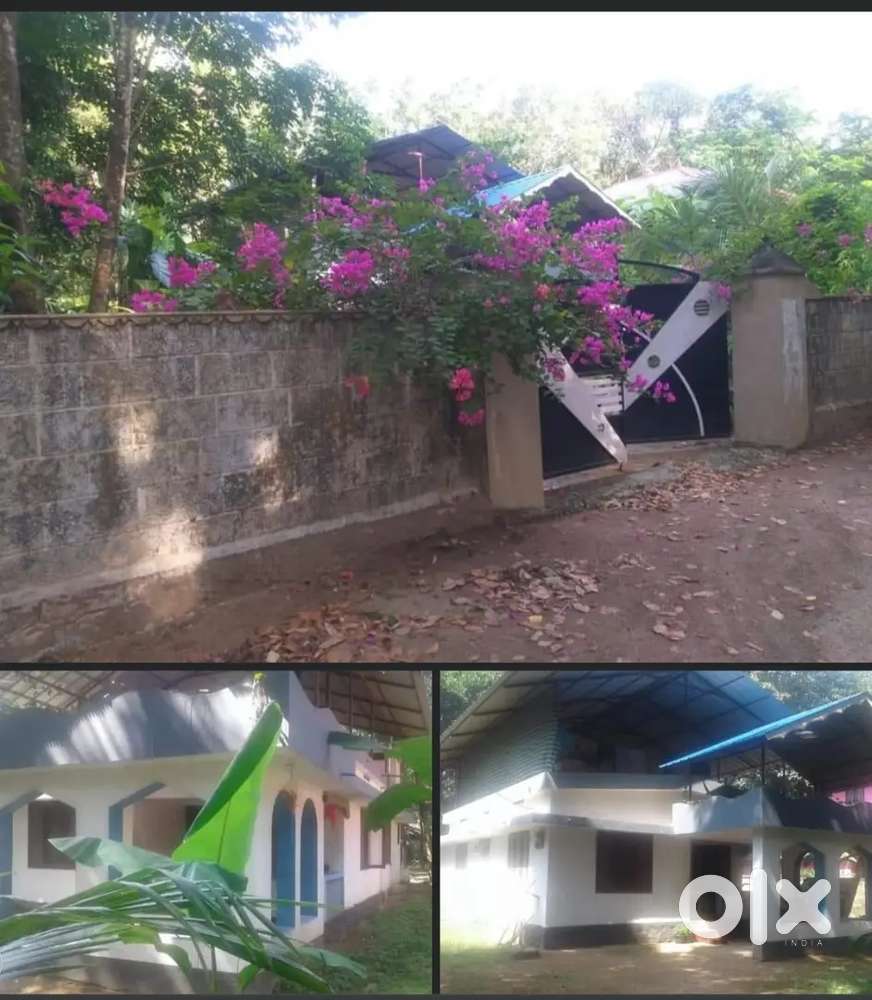 അദിച്ചനല്ലൂർ, വെളിച്ഛിക്കാല 26 സെൻറ് വസ്തു വീടുംവില്പനക്ക്