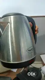 Hot kittle