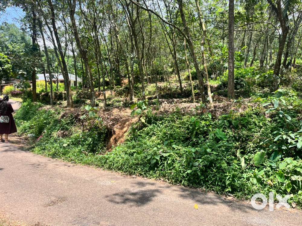 വിൽപ്പനയ്ക്ക് – കൊടുമൺ, 30 സെന്റ് ഭൂമി