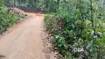2 Acre 19 cent land for sale near Marsleeva Medicity Pala, Kottayam