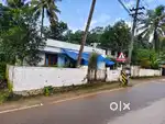 32 CENT ORGINAL LAND IN KAKKANAD NEAR INFOPARK