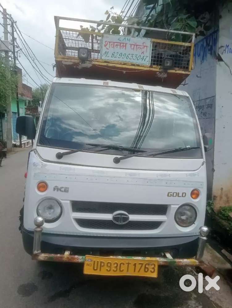 Tata ace gold