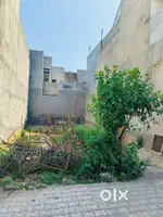 PLOT FOR SALE