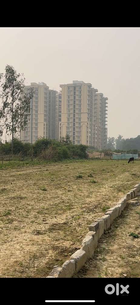 Just pintal park city ke peche hi hai