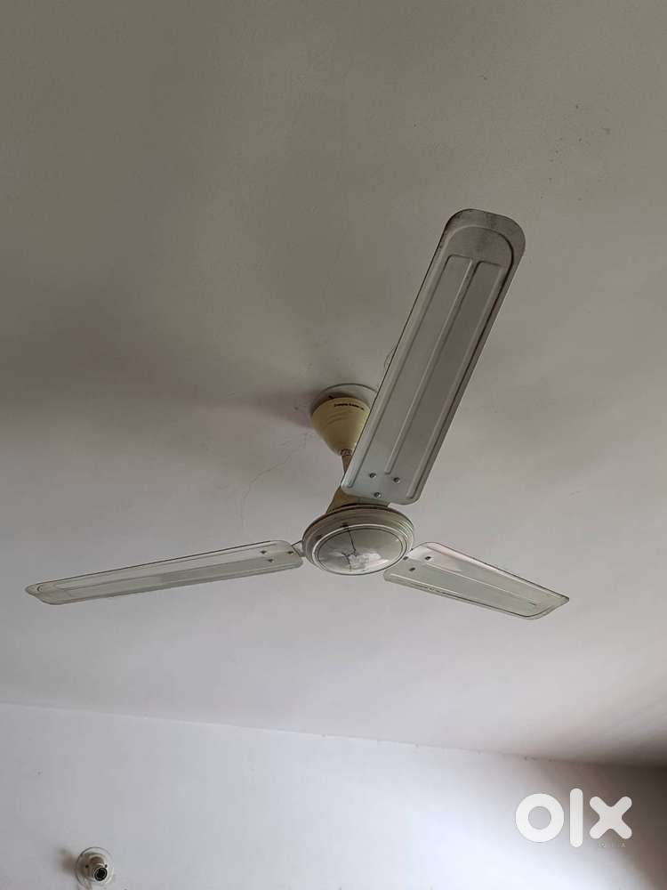 Television (TV) and fan for sell.