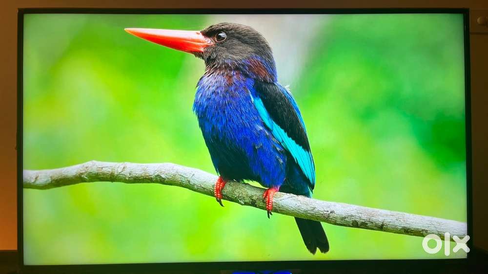 50 inch 4k Ultra HD VU TV. Free Chromecast