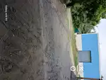 Industrial shed for rent