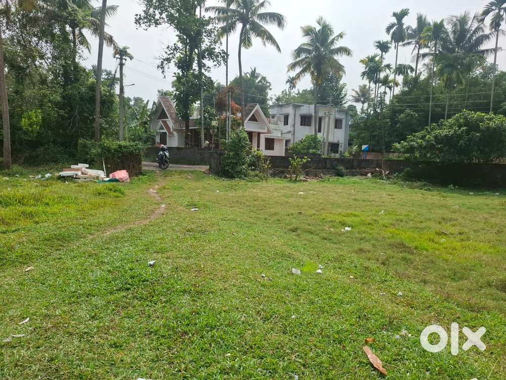 10 cent original Land for sale near West Kadungaloor, Aluva