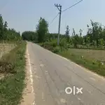 7 Bigha Land On Road in Industrial Area, 22 Lakh/Bigha Demand