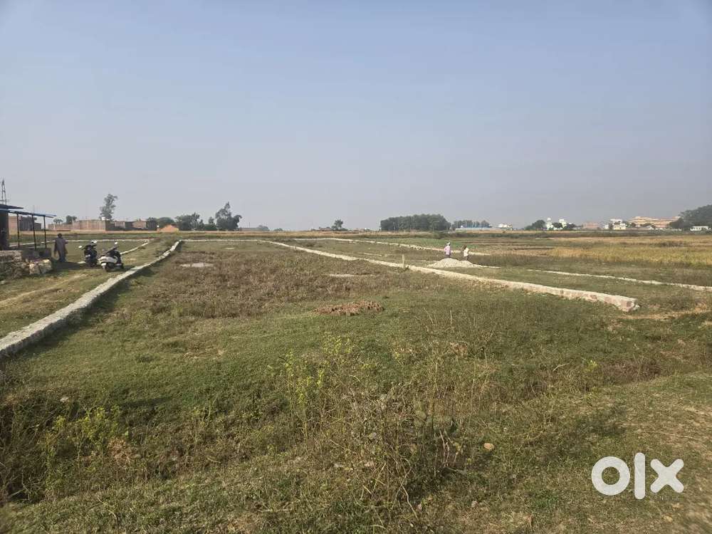 Best plots with prime location