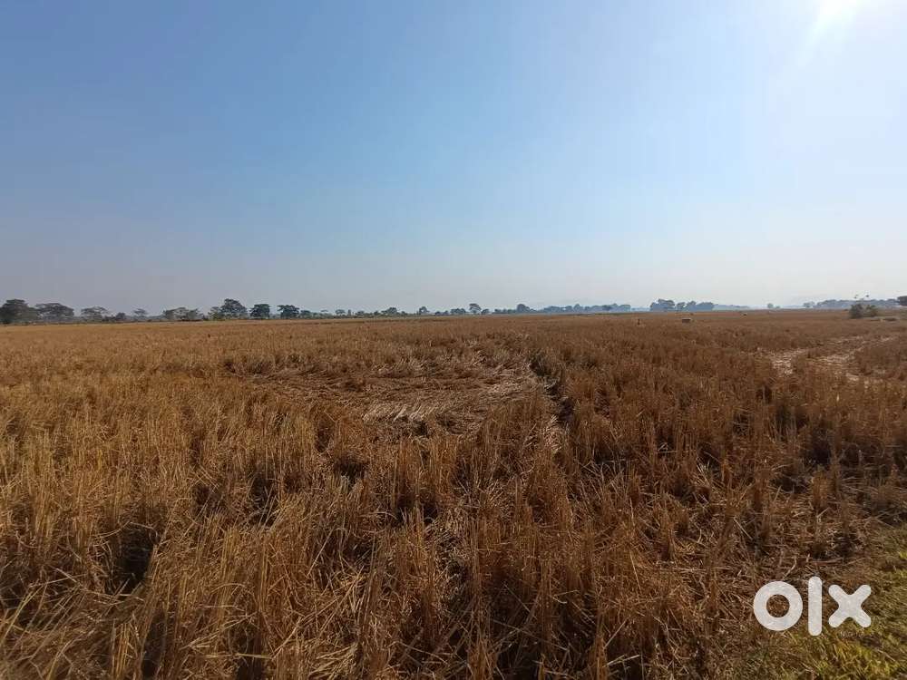 Near NH 17 for rental only, Note for sale near iim guwahati