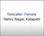 Telecaller / Sales Executive