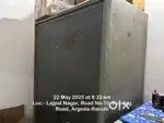 7 year old Godrage for sell