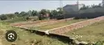 Plot on 50 feet road