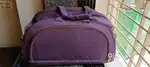 Purple Travel Bag with Wheels & Handle – Light weight