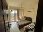 1 Luxury Room in 3bhk Apartment