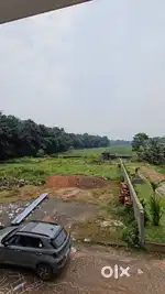 PURAYIDAM plots near edachira and infopark in Thrikkakara municipality