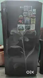 Fridge - Single door