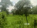 Mahadev  Location 1 Bigha  Land for Sale