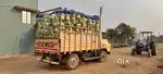 Eicher 1049 pro