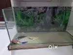 Imported fish tank